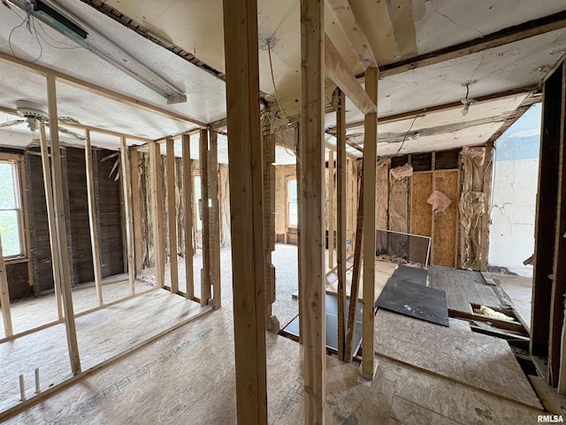 217 E Main St, Green Valley, IL 61534 - photo 21