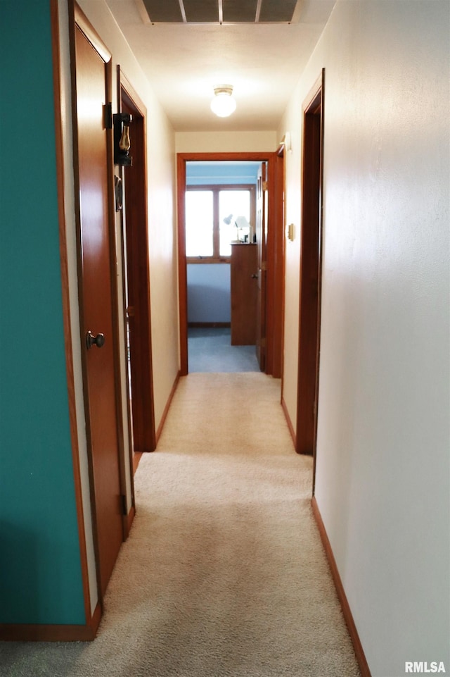 5013 W Woodfern Rd, Peoria, IL 61607 - photo 30
