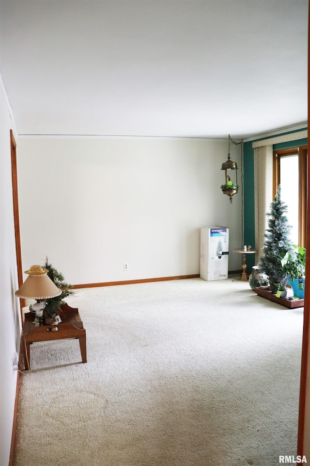 5013 W Woodfern Rd, Peoria, IL 61607 - photo 9