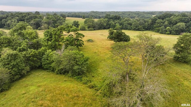 0 Berwick Rd, Berwick, IL 61417 - photo 19