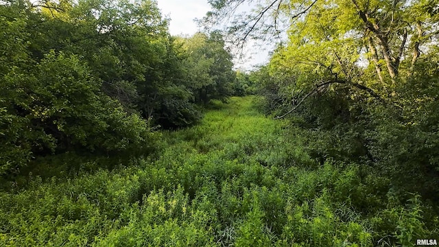 0 Berwick Rd, Berwick, IL 61417 - photo 31