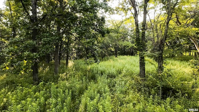 0 Berwick Rd, Berwick, IL 61417 - photo 32