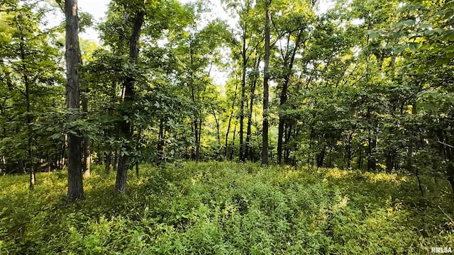 0 Berwick Rd, Berwick, IL 61417 - photo 33