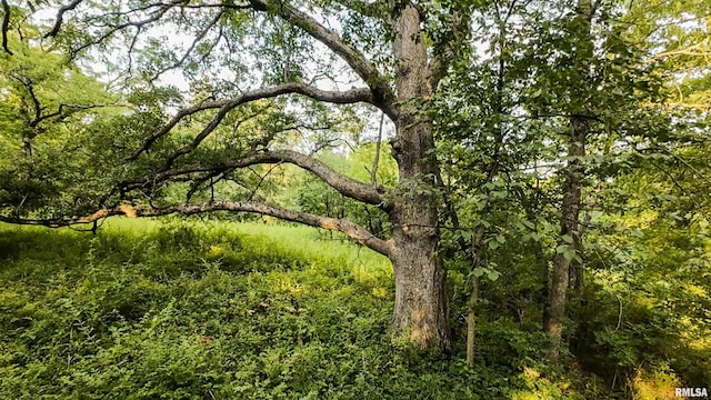 0 Berwick Rd, Berwick, IL 61417 - photo 34