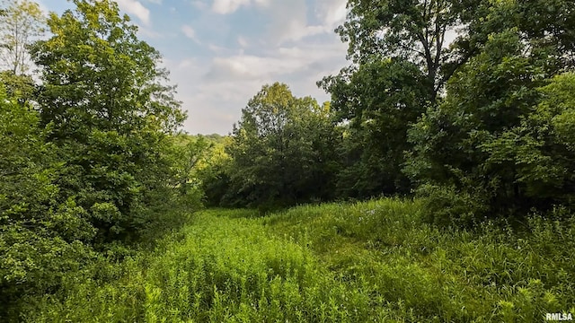 0 Berwick Rd, Berwick, IL 61417 - photo 35