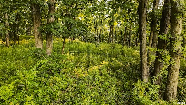 0 Berwick Rd, Berwick, IL 61417 - photo 36