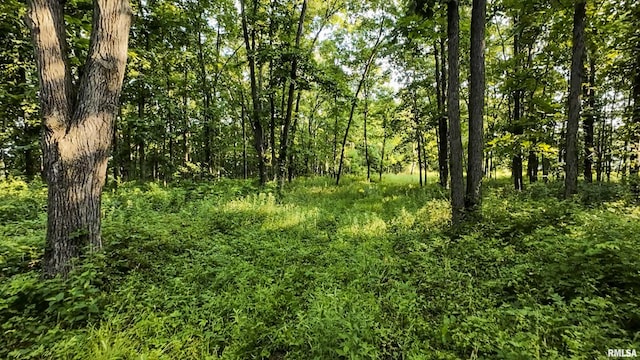 0 Berwick Rd, Berwick, IL 61417 - photo 37
