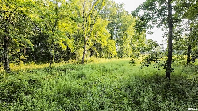 0 Berwick Rd, Berwick, IL 61417 - photo 39