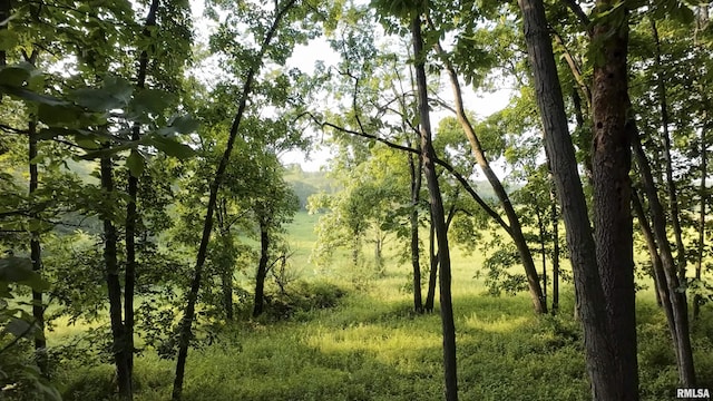 0 Berwick Rd, Berwick, IL 61417 - photo 41