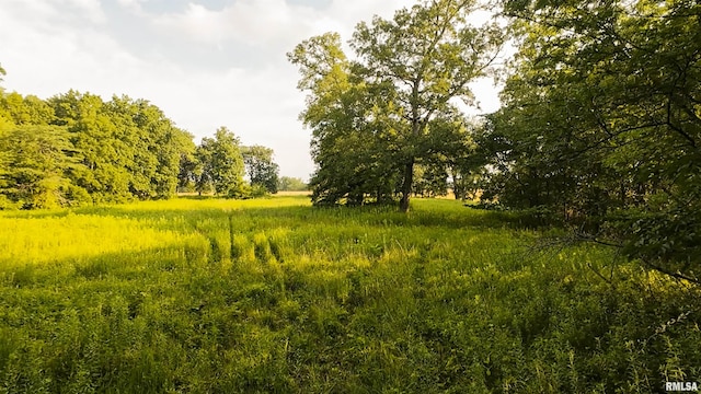 0 Berwick Rd, Berwick, IL 61417 - photo 44