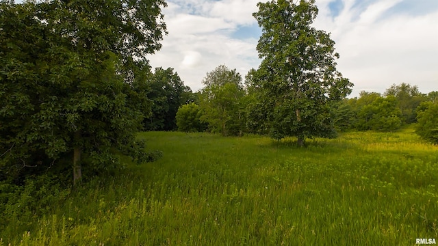 0 Berwick Rd, Berwick, IL 61417 - photo 50
