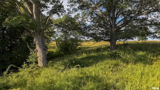 0 Berwick Rd, Berwick, IL 61417 - photo 57