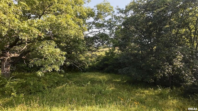 0 Berwick Rd, Berwick, IL 61417 - photo 58