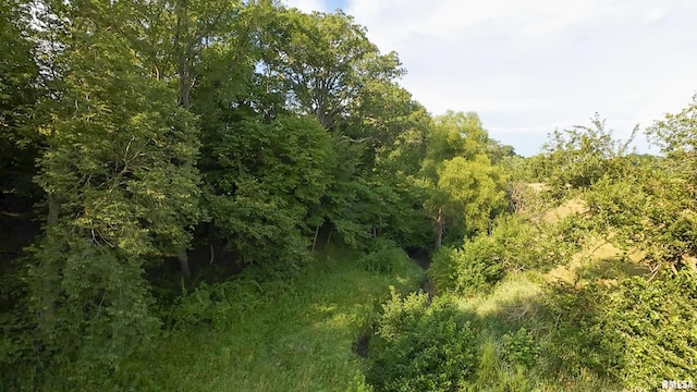 0 Berwick Rd, Berwick, IL 61417 - photo 60