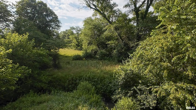 0 Berwick Rd, Berwick, IL 61417 - photo 61