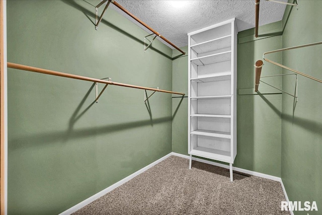 303 W 3rd Ave, Deer Creek, IL 61733 - spacious closet with carpet flooring