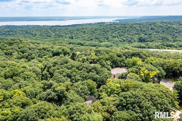408 W Ravinwoods Rd, Peoria, IL 61615 - bird's eye view of a heavily wooded area and a nearby body of water