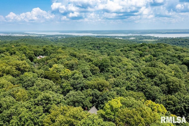 408 W Ravinwoods Rd, Peoria, IL 61615 - aerial view of a forest and a large body of water