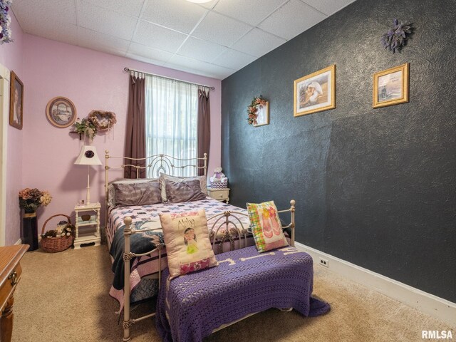 920 S 5th St, Pekin, IL 61554 - photo 43