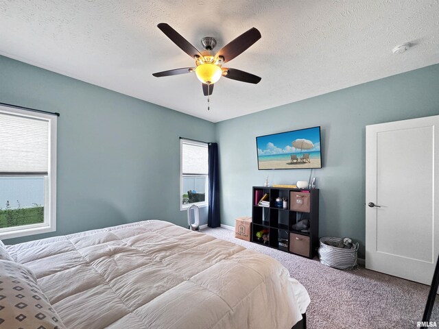 316 N Pocono Ave, Morton, IL 61550 - photo 21