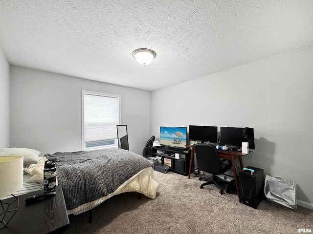 316 N Pocono Ave, Morton, IL 61550 - photo 35