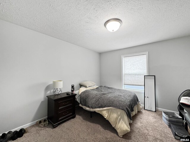316 N Pocono Ave, Morton, IL 61550 - photo 36