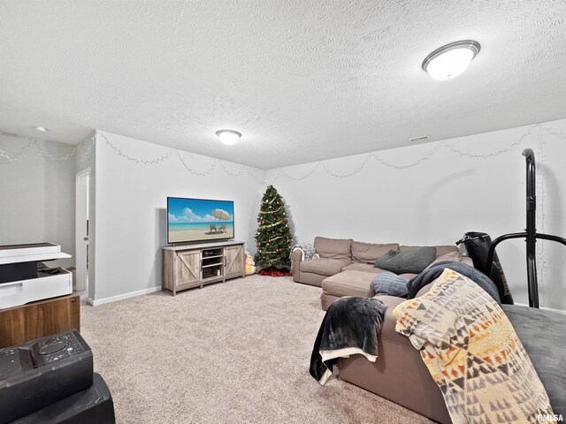 316 N Pocono Ave, Morton, IL 61550 - photo 45