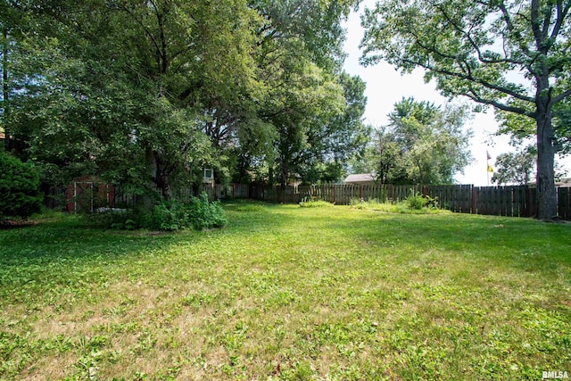 1202 Timber Ln, Pekin, IL 61554 - photo 43