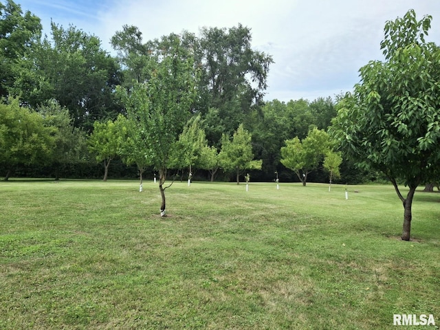 757 W Locust St, Canton, IL 61520 - photo 39
