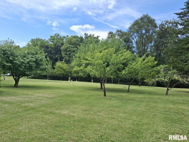 757 W Locust St, Canton, IL 61520 - photo 40