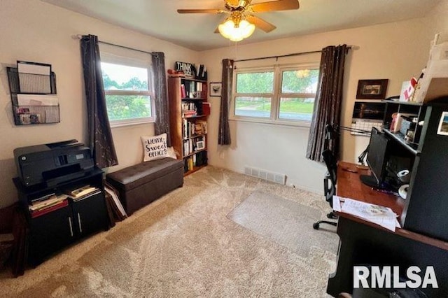 224 W Northridge Ln, Peoria, IL 61614 - photo 14