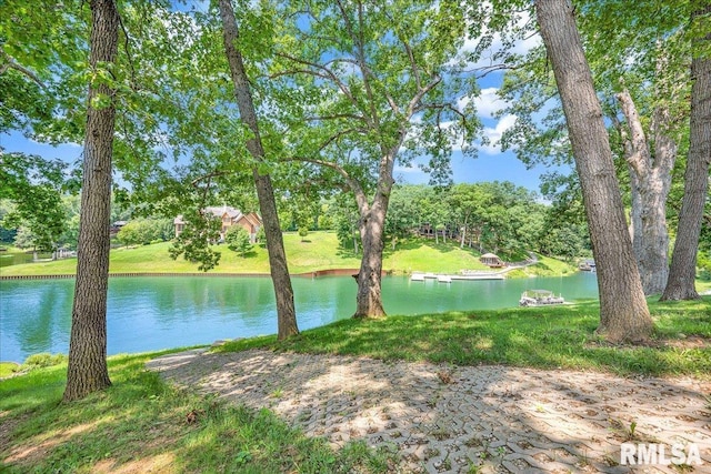 296 Longshore Ct, Dahinda, IL 61428 - photo 39