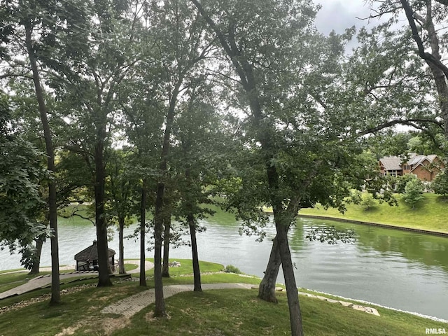 296 Longshore Ct, Dahinda, IL 61428 - photo 48