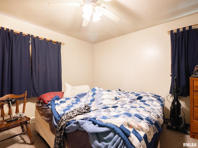 426 Smith St, Creve Coeur, IL 61610 - photo 43
