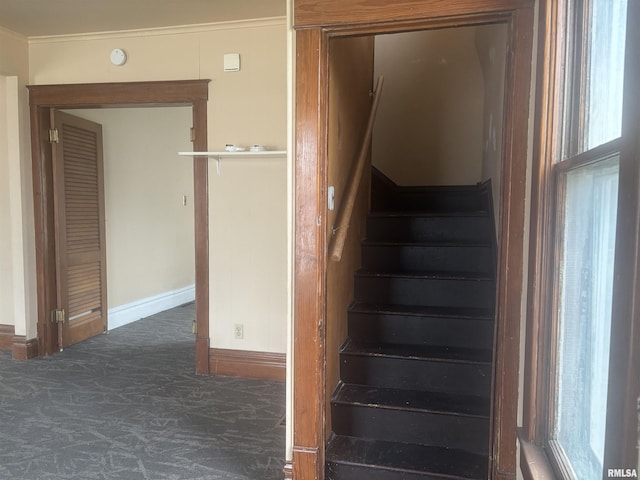 115 W Washington St, Macomb, IL 61455 - photo 11