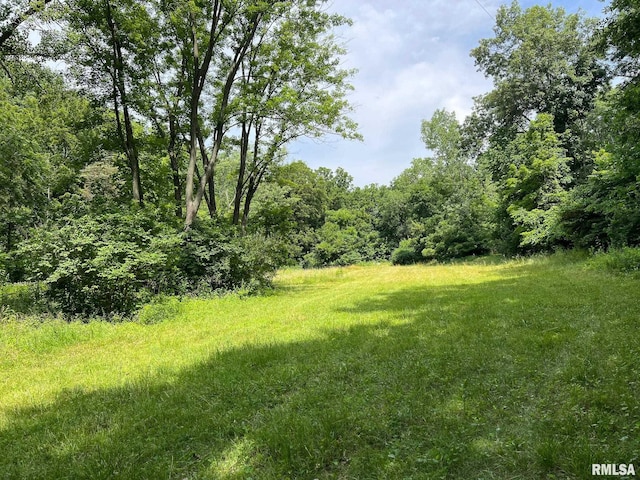 305 E Martin Dr, Goodfield, IL 61742 - photo 43