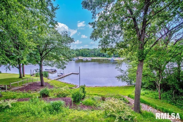 223 N Shore Pl, Dahinda, IL 61428 - photo 39