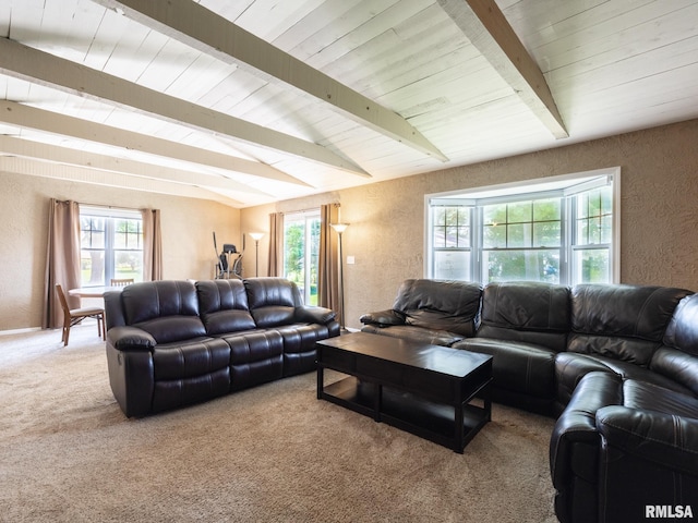 820 E Kay St, Morton, IL 61550 - photo 23
