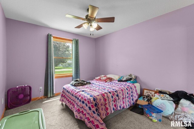 625 N Pekin Ln, Hanna City, IL 61536 - photo 17