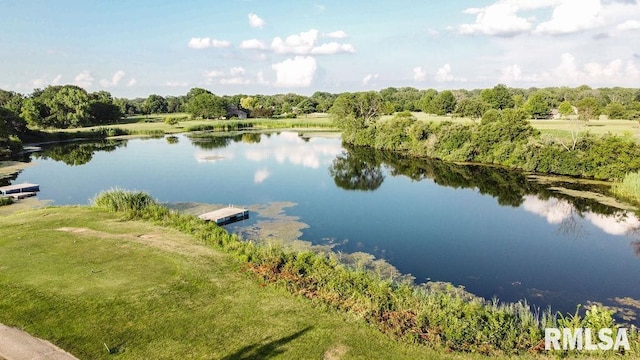23179 N Arrow Rd, Cuba, IL 61427 - photo 14