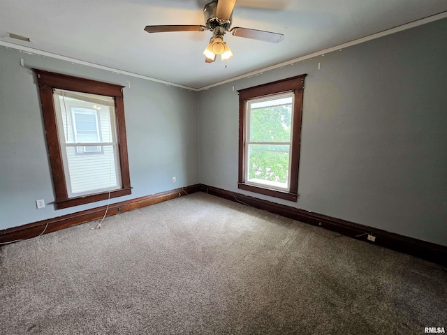 1515 W Main St, Peoria, IL 61606 - photo 19