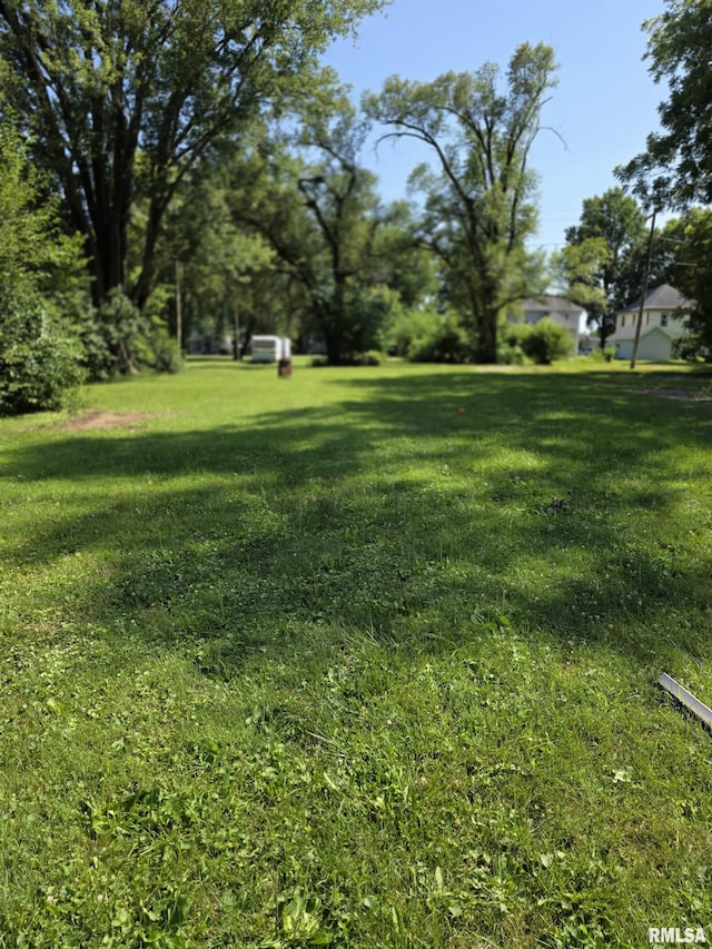315 E Washington St, Avon, IL 61415 - photo 4