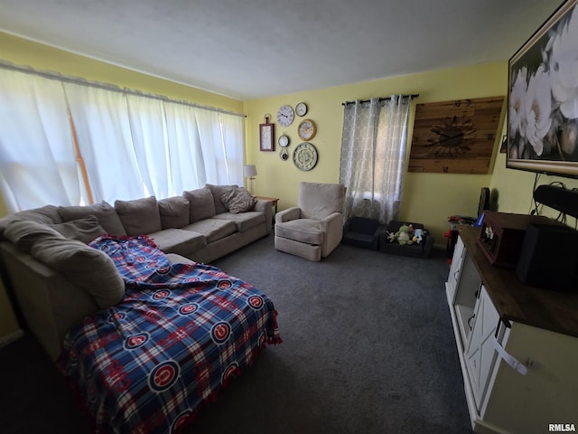 315 E Washington St, Avon, IL 61415 - photo 6
