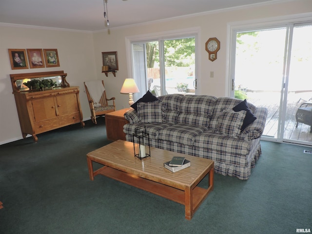 12724 N Jubilee Hills Dr, Brimfield, IL 61517 - photo 24