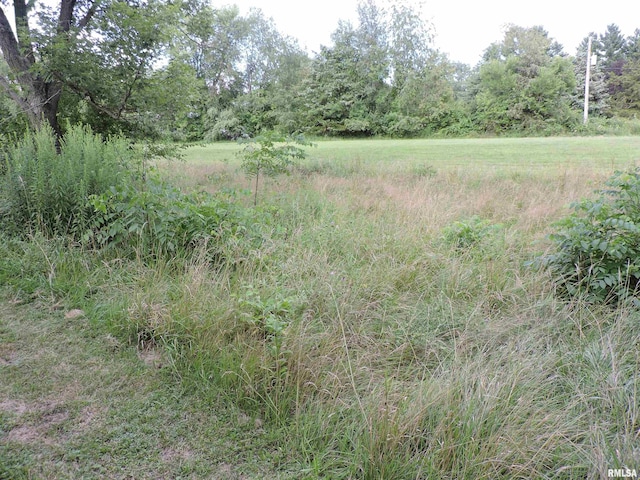 12724 N Jubilee Hills Dr, Brimfield, IL 61517 - photo 58