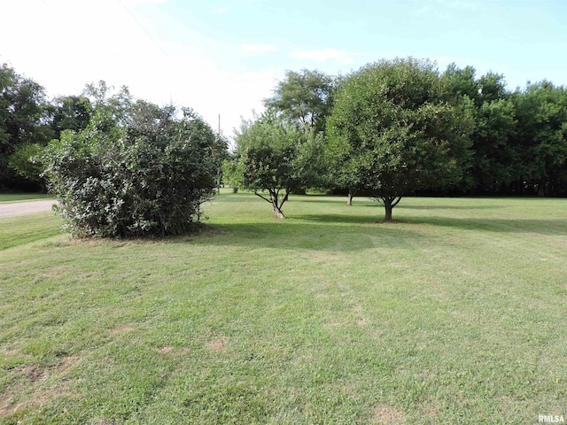 12724 N Jubilee Hills Dr, Brimfield, IL 61517 - photo 7