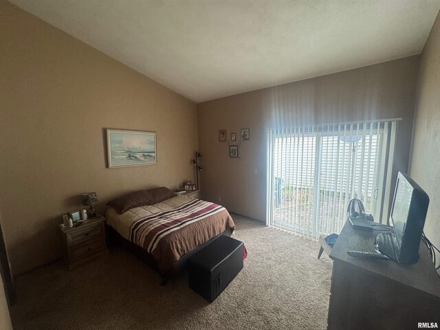 6809 N Frostwood Pkwy Unit 51, Peoria, IL 61615 - photo 12