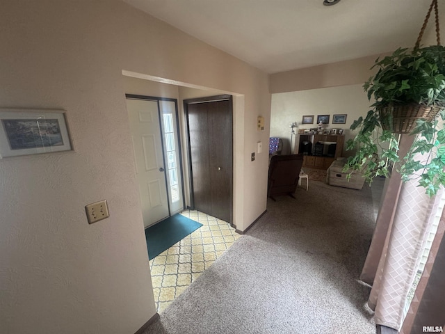 6809 N Frostwood Pkwy Unit 51, Peoria, IL 61615 - photo 10