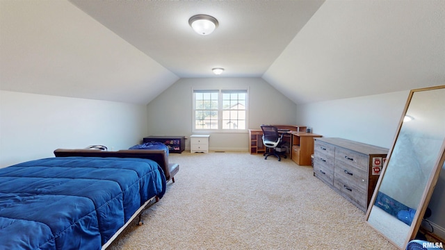 14005 N River Crest Dr, Chillicothe, IL 61523 - photo 37