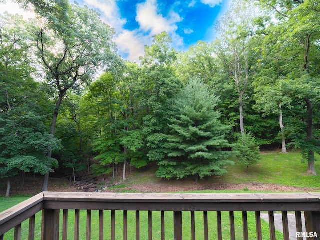 1362 N Forrest Dr, Germantown Hills, IL 61548 - photo 42